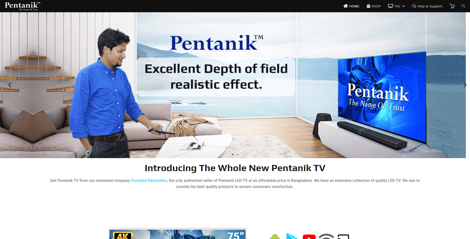 pentanik.com website development